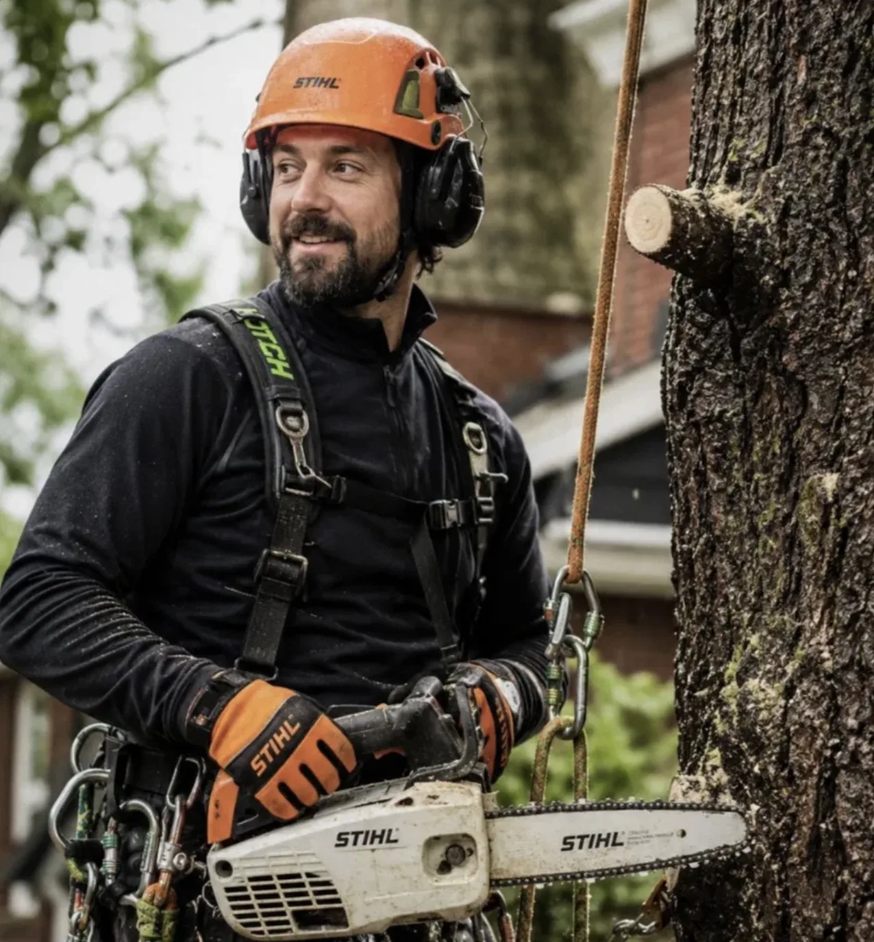Licensed tree service arborist serving Western Kentucky
